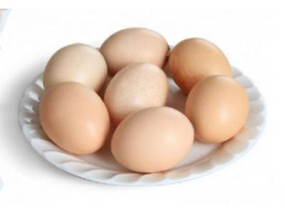 鮮雞蛋（dàn）配送