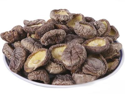 冬（dōng）菇配送（sòng）