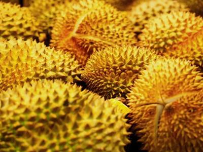 榴蓮（lián）配送